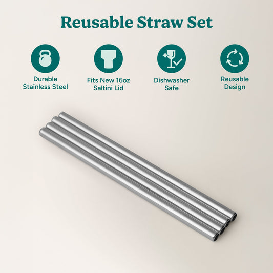 saltini-straw-set-c0 4PK_SaltiniStraws_SS-2.jpg