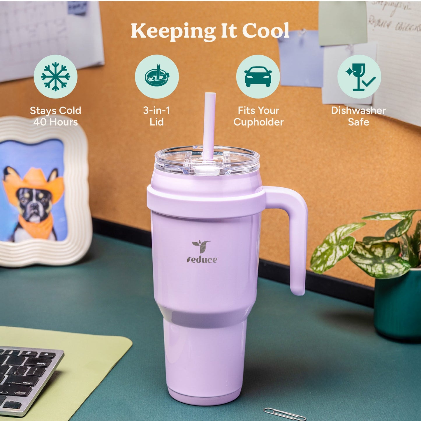 cold1-40-oz-u9 Cold1_40oz_PalmLeaf_Infographic_1.jpg