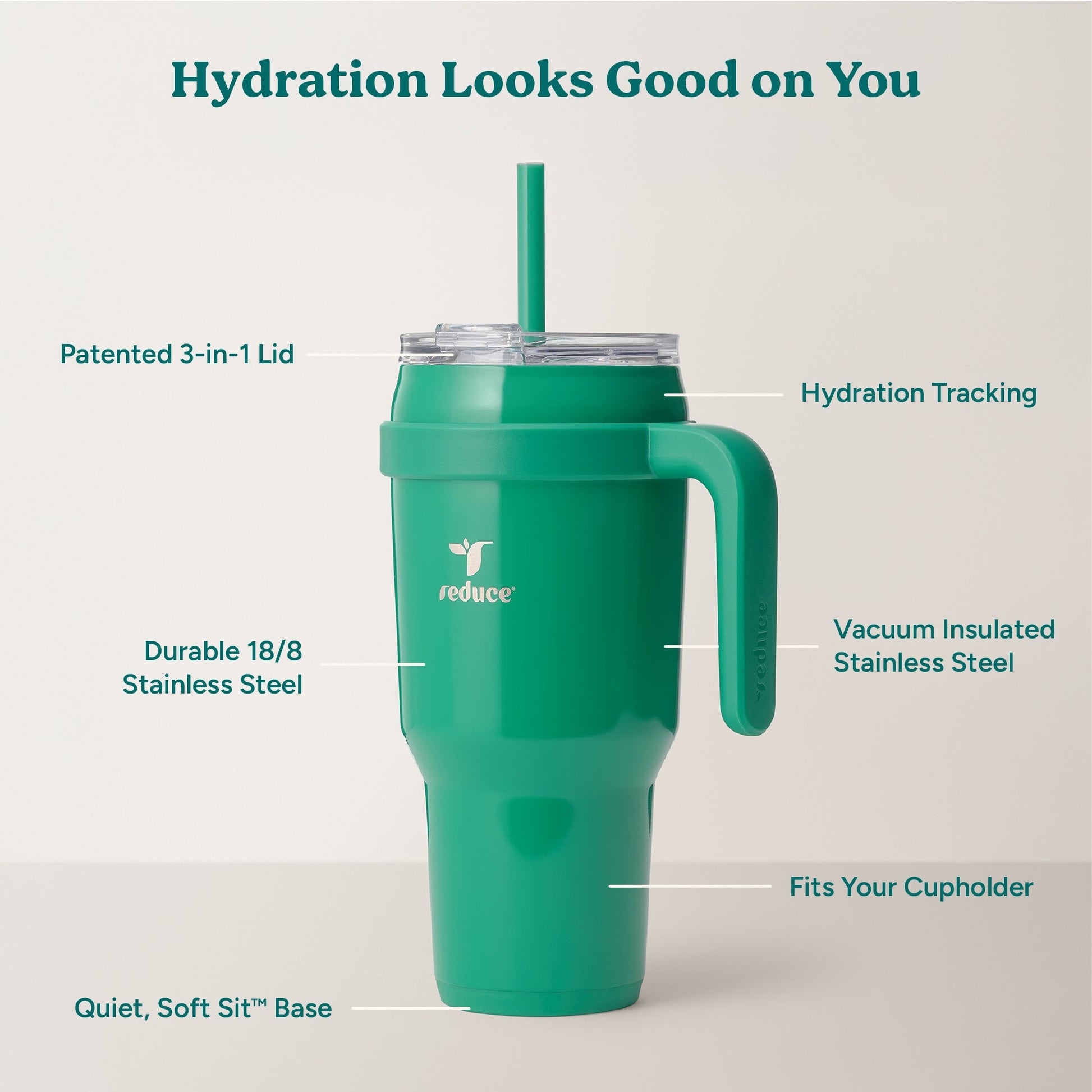 cold1-40-oz-u9 Cold1_40oz_PalmLeaf_Infographic_2.jpg