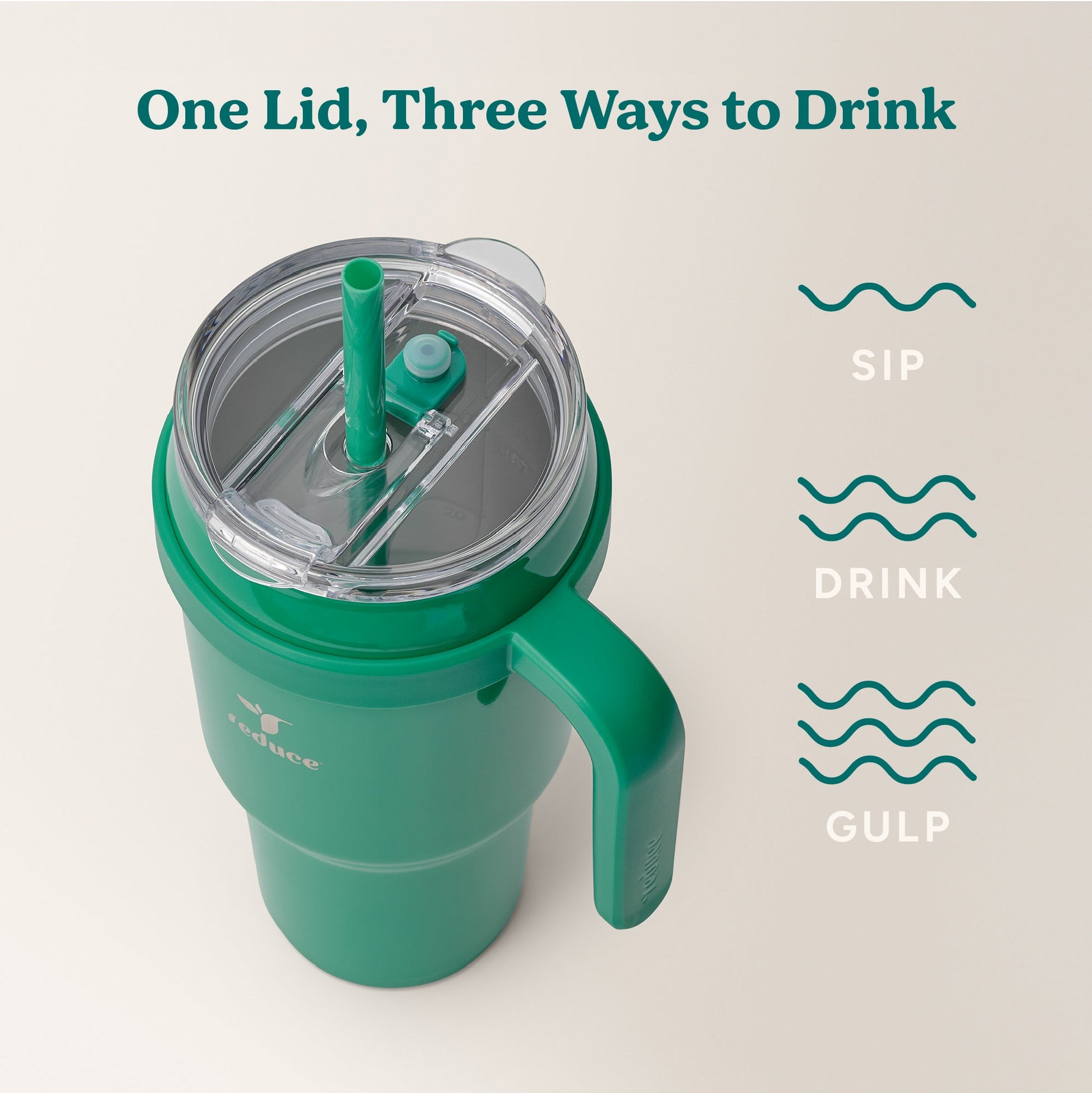 cold1-40-oz-u9 Cold1_40oz_PalmLeaf_Infographic_3.jpg