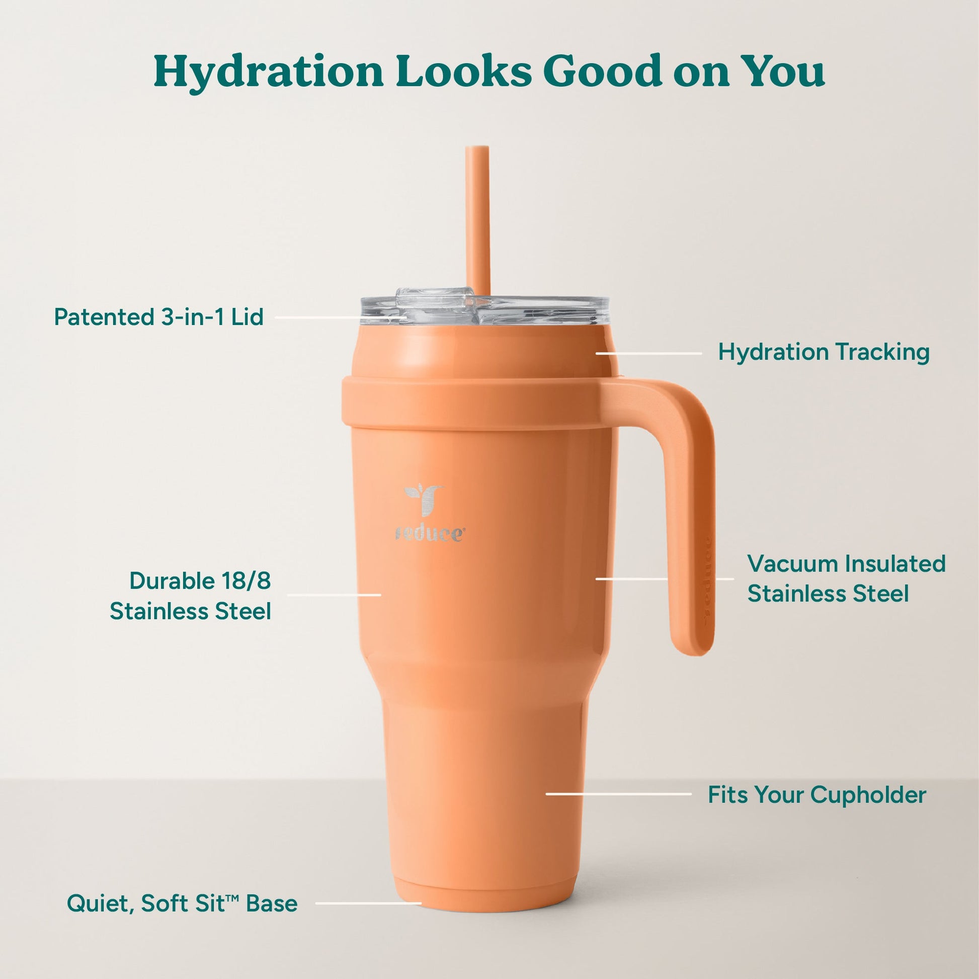 cold1-40-oz-b0 Cold1_40oz_Papaya_Infographic_2.jpg
