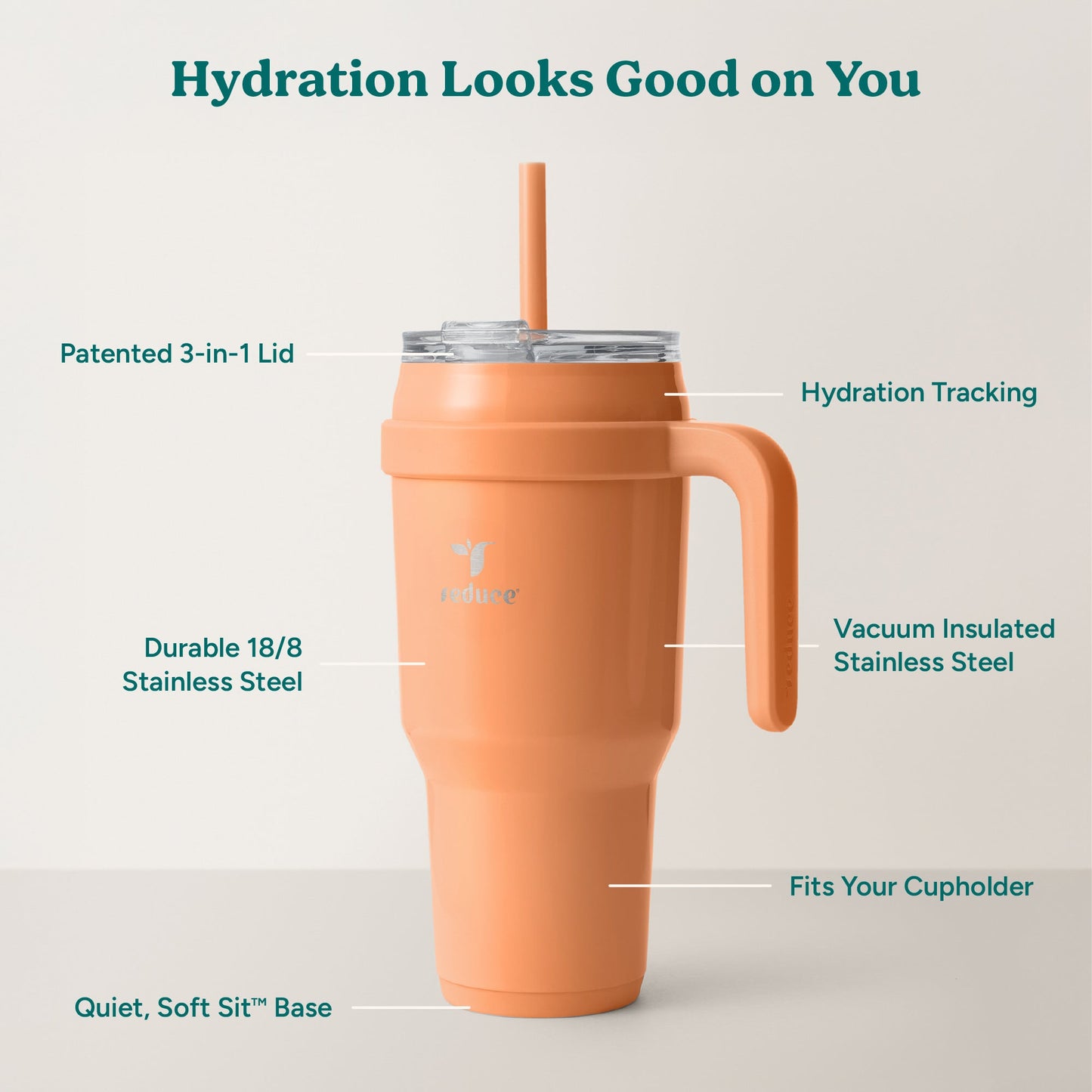 cold1-40-oz-u9 Cold1_40oz_Papaya_Infographic_2.jpg