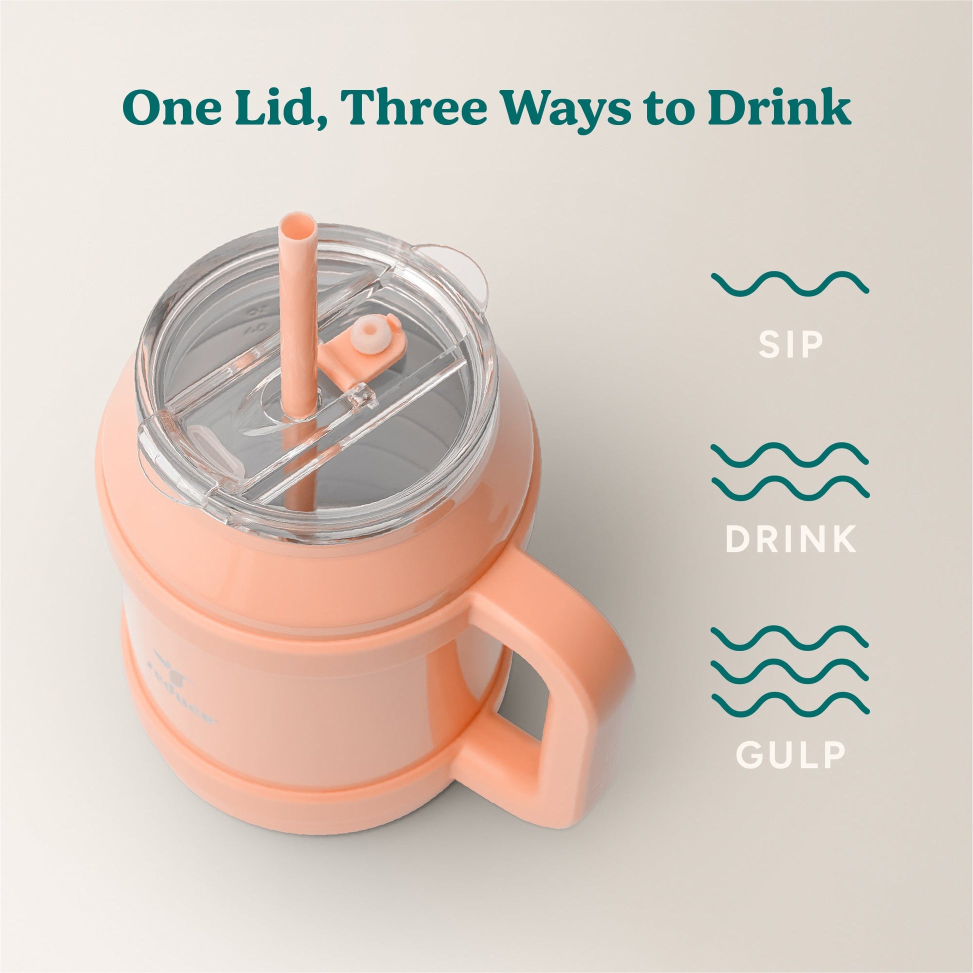 cold1-desktop-50-oz-f3 Cold1_50oz_Desktop_Sedona_Infographic_3.jpg